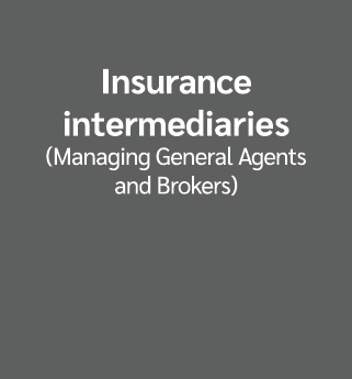 Insurance intermediaries (Managing General Agents and Brokers)